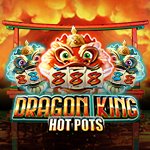 Dragon King Hot Pots